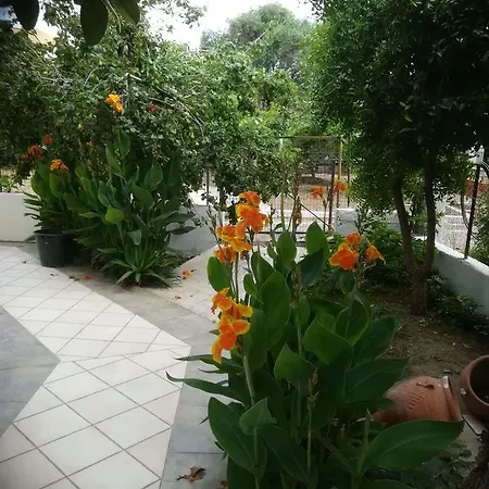 Πανσιόν Apollo 3*