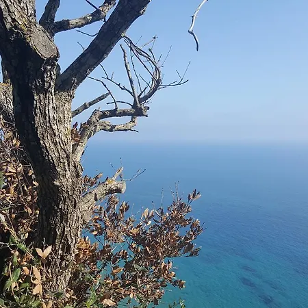 Apollo Πανσιόν