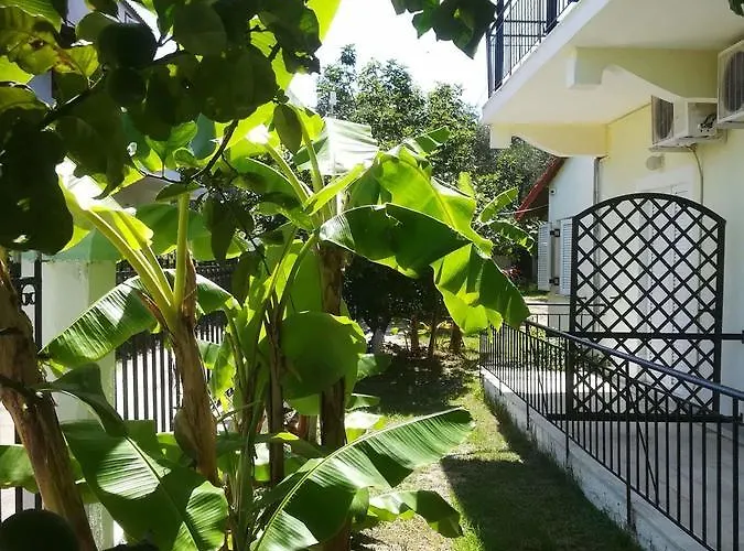 Pensionat Apollo Kávos