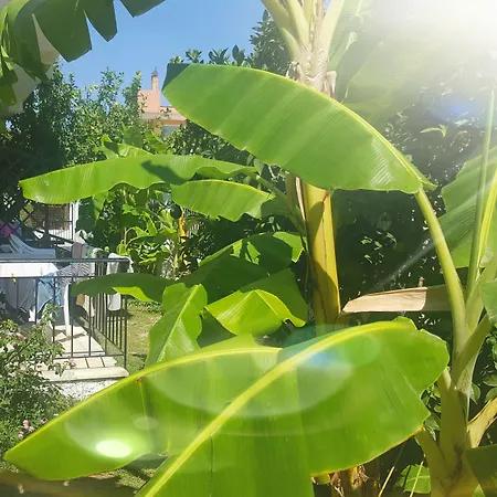 Guest house Apollo 3*