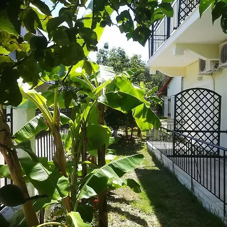 Guest house Apollo Kavos