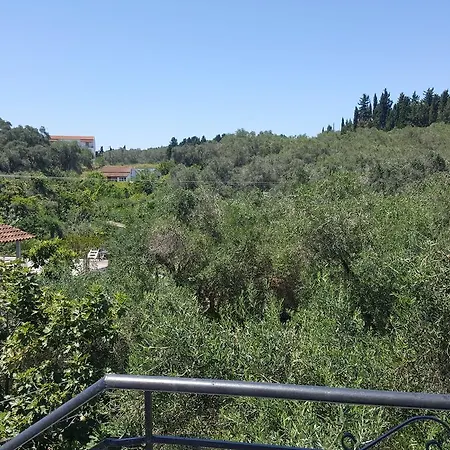 Apollo Guest house 3*