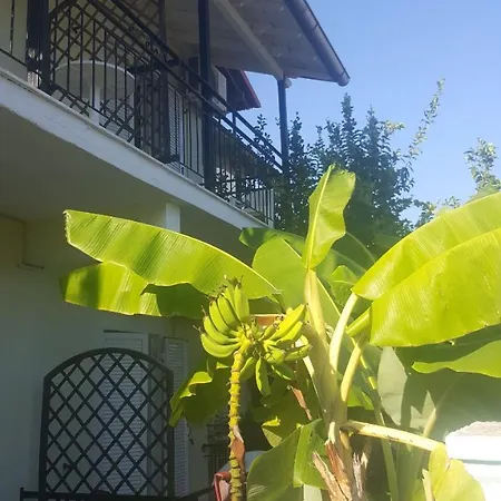 Apollo Konukevi *
