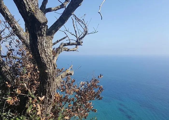 Apollo Πανσιόν